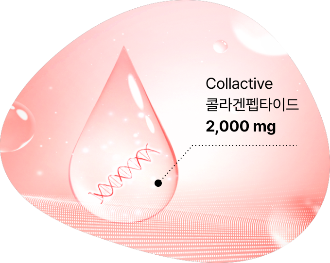 Collactive 콜라겐펩타이드 2,000 mg